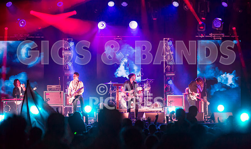 The Vaccines-20 - THE VACCINES