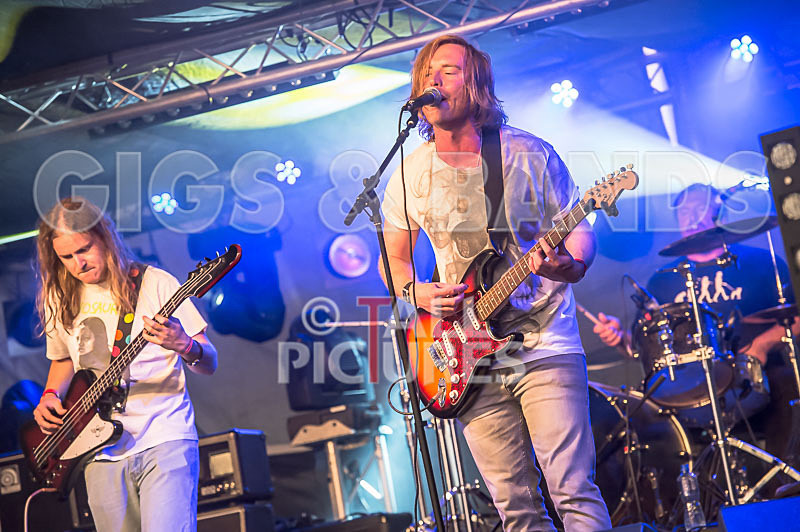 Near Bliss-8 - NEAR BLISS