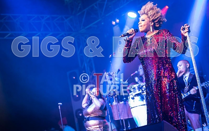 Macy Gray-8 - MACY GRAY