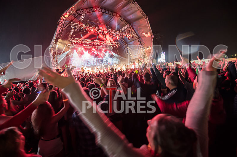 Madness-88 - MADNESS