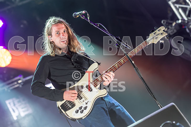 The Vaccines-2 - THE VACCINES