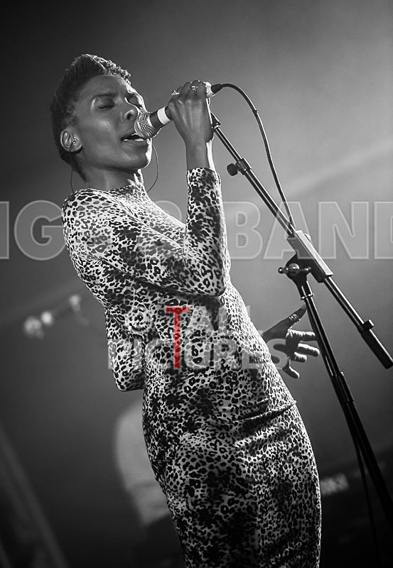 The Delegators-29 - THE DELEGATORS