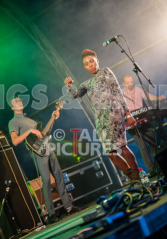 The Delegators-17 - THE DELEGATORS