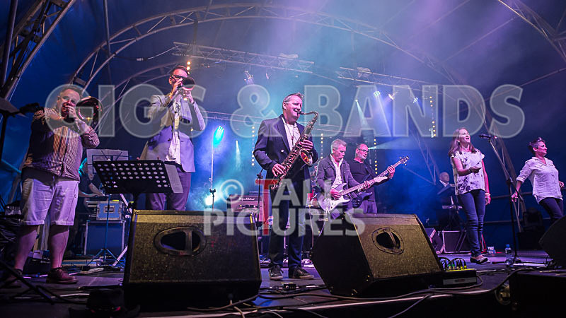 King Rat and the Soul Cats-286 - KING RAT AND THE SOUL CATS