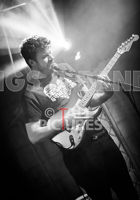 The Tarantulips-20 - THE TARANTULIPS