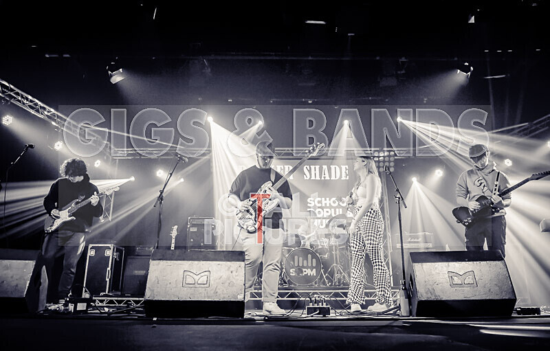 Darker Shade-37 - DARKER SHADE