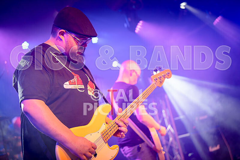 Foxy Stoat Seeks Pig-2 - FOXY STOAT SEEKS PIG