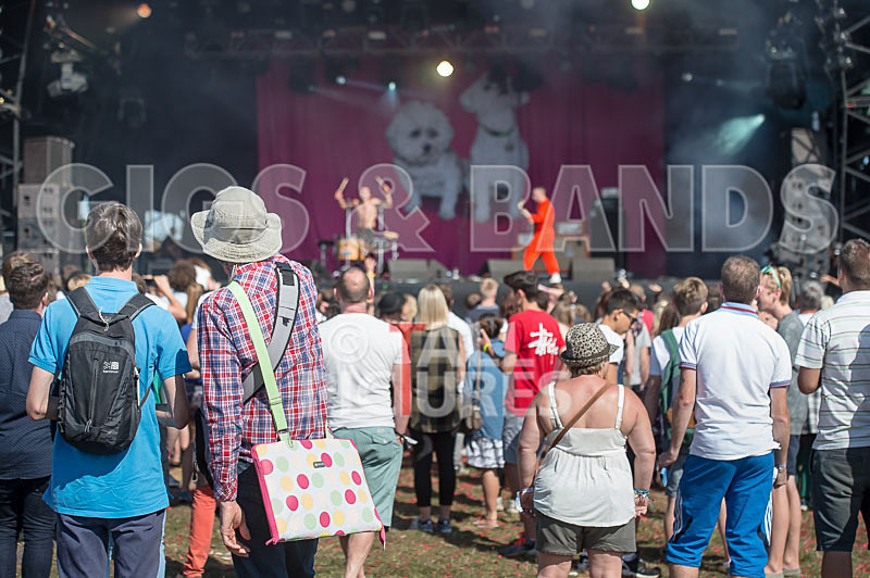 Jersey Live-2015_Scene-110 - JERSEY LIVE 2015 - THE ATMOSPHERE