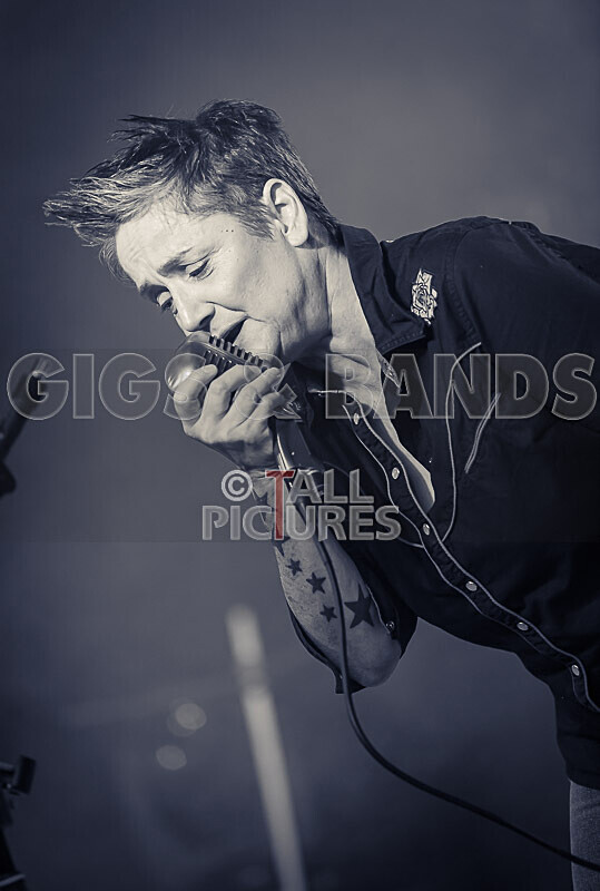 Silverados-84 - SILVERADOS