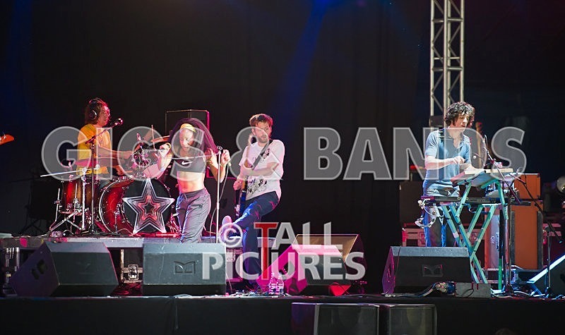 The Go Team-45 - THE GO! TEAM