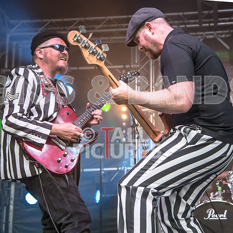 The Smooth Hounds-46 - THE SMOOTH HOUNDS