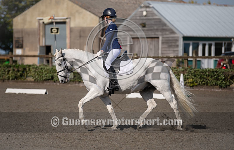 Dressage_29-09-2018-1 - DRESSAGE CHAMPIONSHIPS 2018