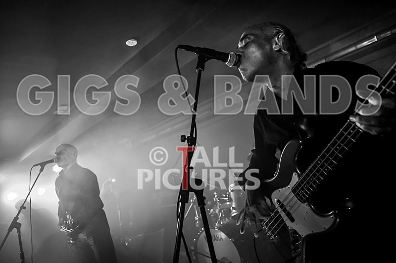 The Wilko Johnson Band-83 - THE WILKO JOHNSON BAND