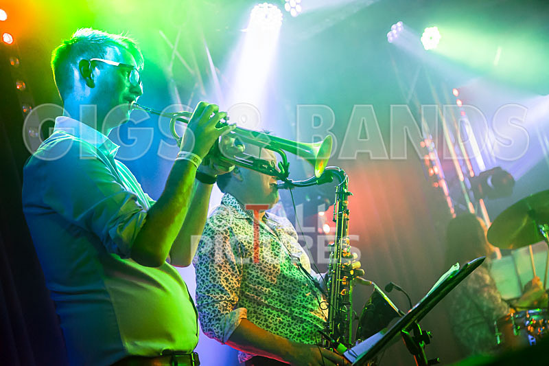 King Rat  the Soul Cats-346 - KING RAT AND THE SOUL CATS