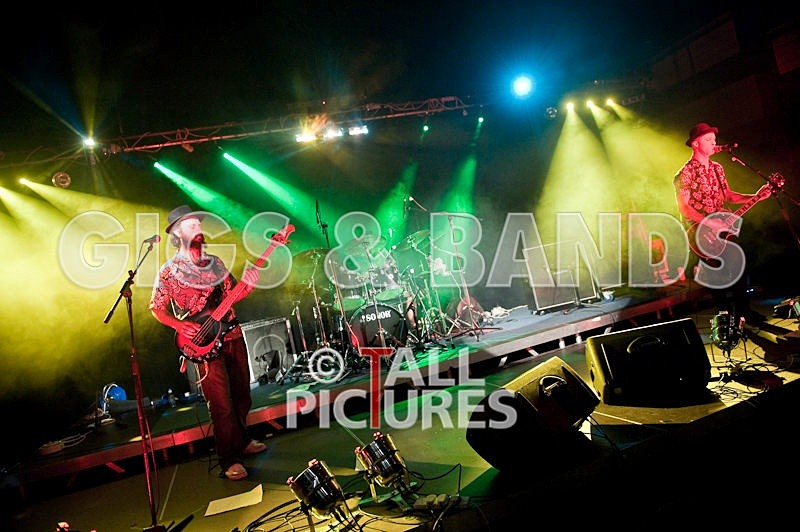 Peppered Ant Legs-21 - PEPPERED ANT LEGS at RoA-3