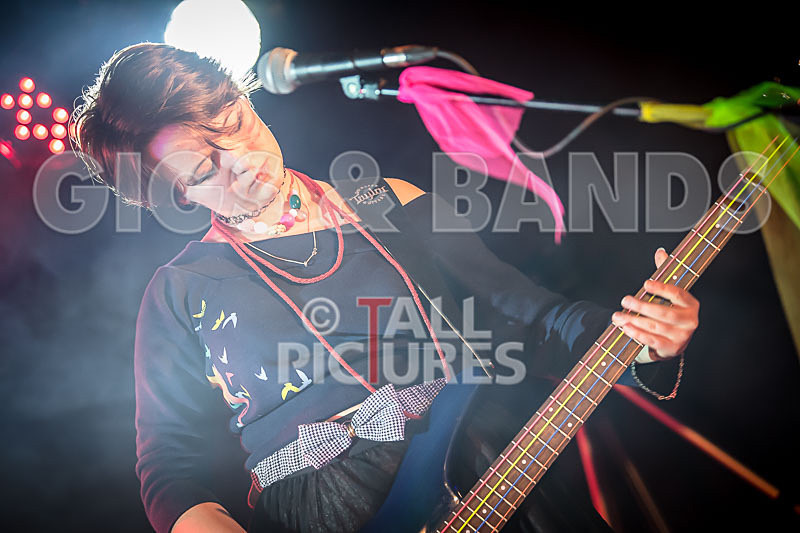 track not found-313 - track not found