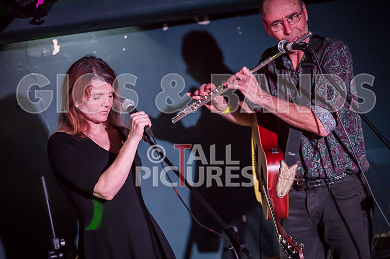 Between The Signs-3 - VALE EARTH FAIR UNPLUGGED 2018