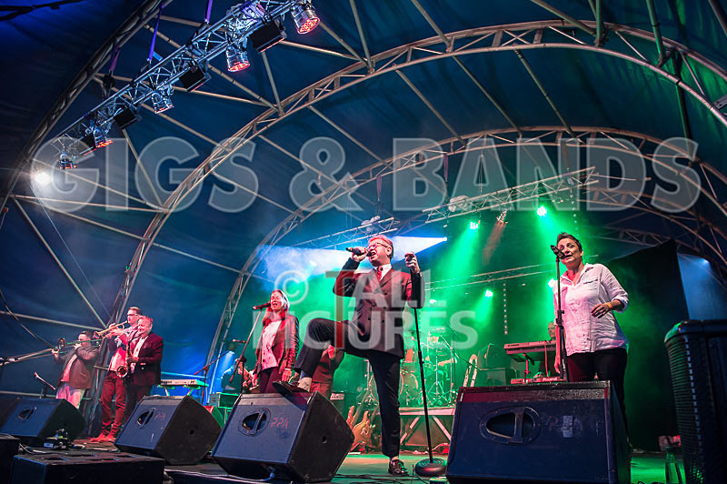 King Rat and the Soul Cats-263 - KING RAT AND THE SOUL CATS