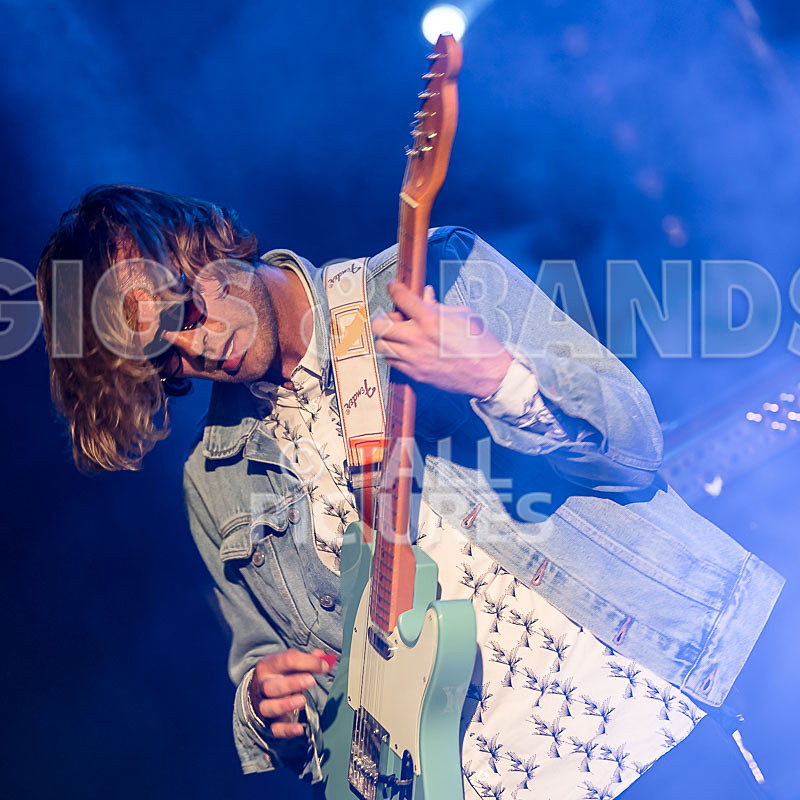 Surfin Birds-3 - SURFIN' BIRDS