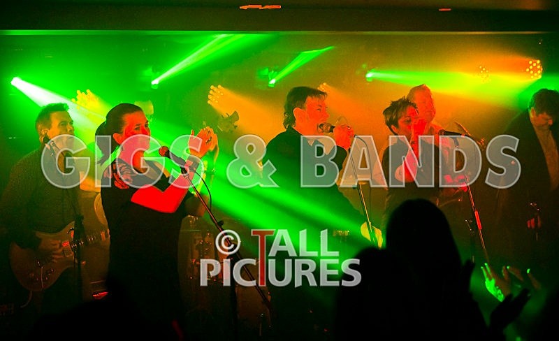 King Rat and the Soul Cats-80 - KING RAT & THE SOUL CATS