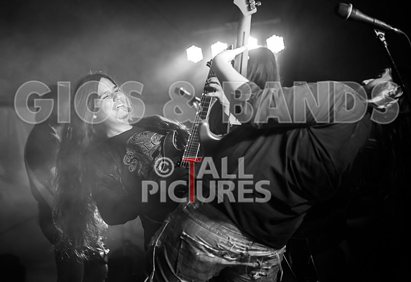 Stone Em All-386 - STONE EM ALL