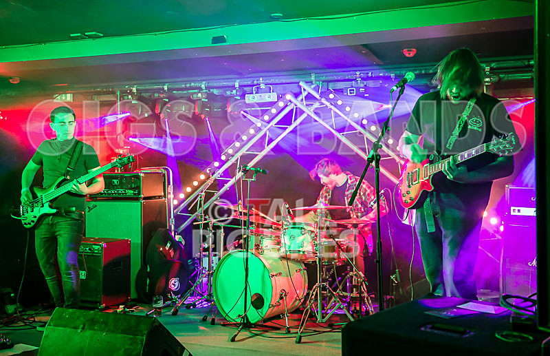 To the Woods-228 - TO THE WOODS