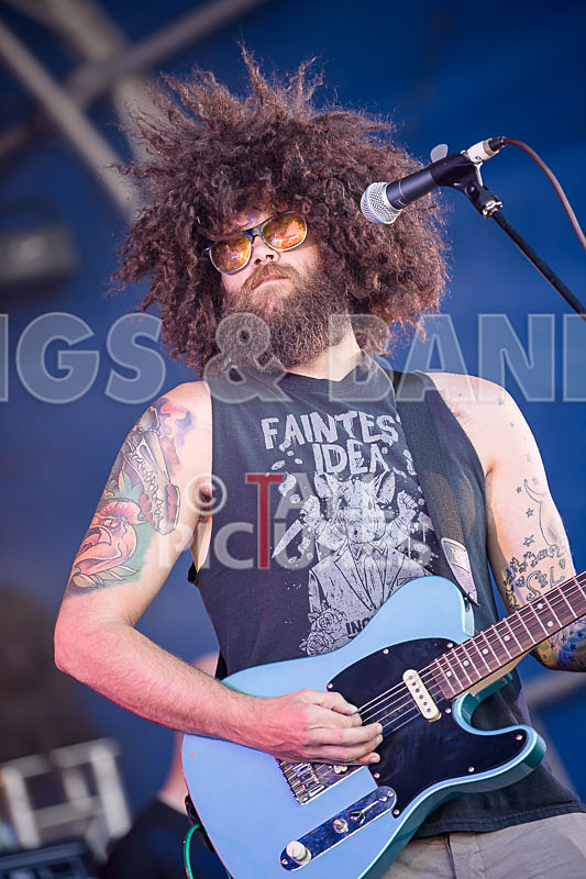 Tree House Fire-1 - TREE HOUSE FIRE