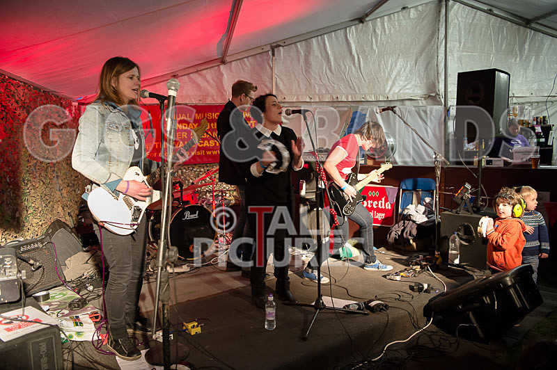 Swallows-6 - SWALLOWS