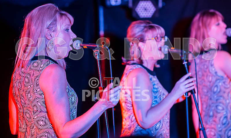 The Blondettes-23 - THE BLONDETTES