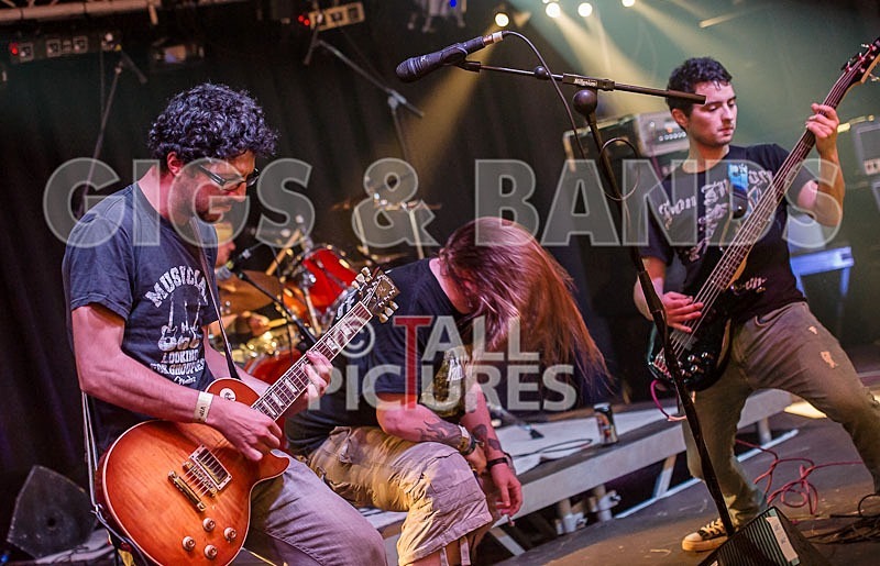 Stone Em All-5 - STONE EM ALL