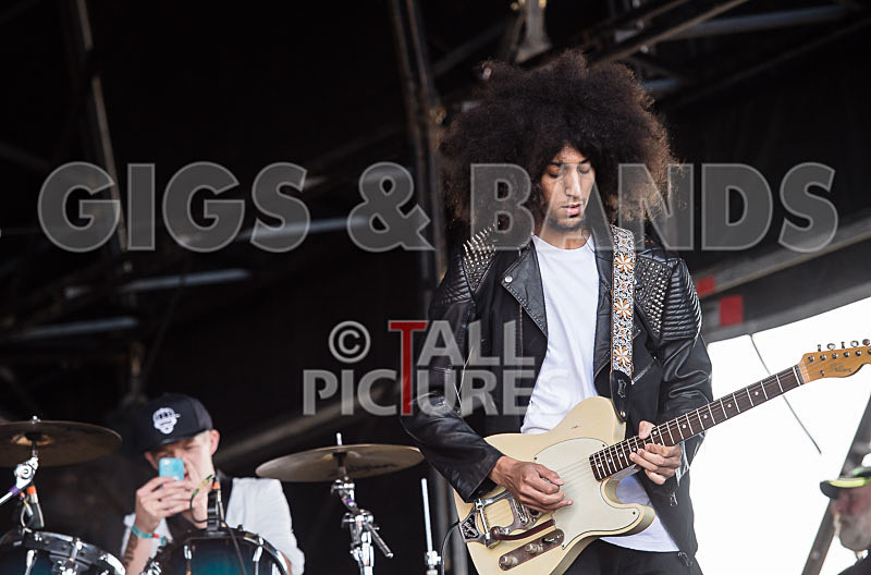 Diversity-38 - DIVERSITY