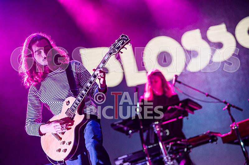 Blossoms-1 - BLOSSOMS