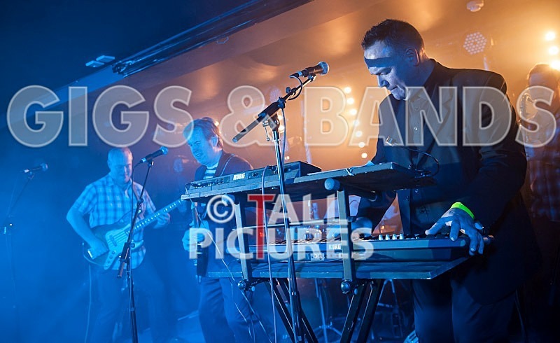 The Pulse-12 - THE PULSE