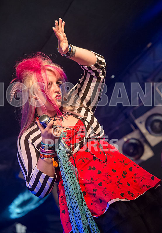 Static Alice-366 - STATIC ALICE