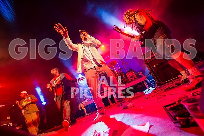 Roots Manuva-30 - ROOTS MANUVA