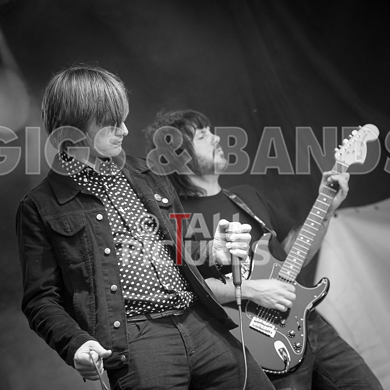 The Cryptics-127 - THE CRYPTICS