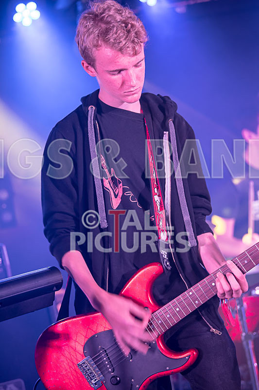 Lady and the Tramps-13 - LADY AND THE TRAMPS