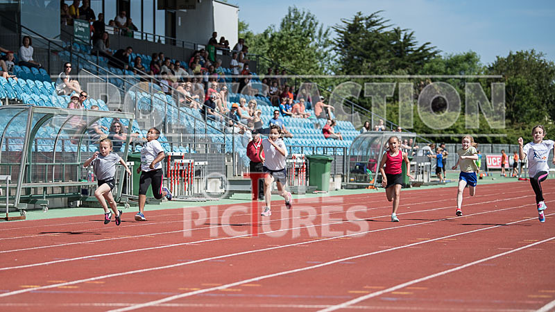 XMA Junior School Champ-87 - XMA JUNIOR SCHOOLS INDIVIDUAL CHAMPIONSHIPS 2017