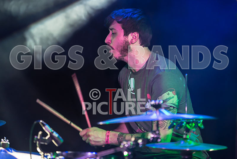 To the Woods-161 - TO THE WOODS