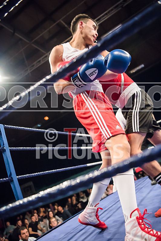 BOUT-7 Sam Masterman v John Dang-27 - BOUT-7 Sam Masterman v John Dang