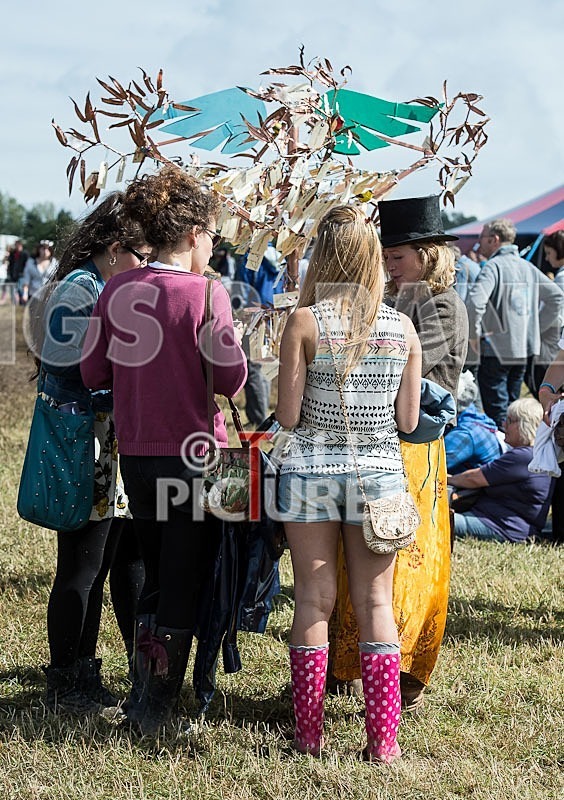 Guernsey Festival_Scene 2012-59 - GUERNSEY LIVE_SCENE 2012