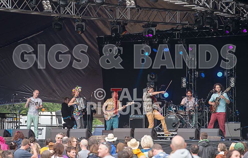 Molotov Jukebox-55 - MOLOTOV JUKEBOX