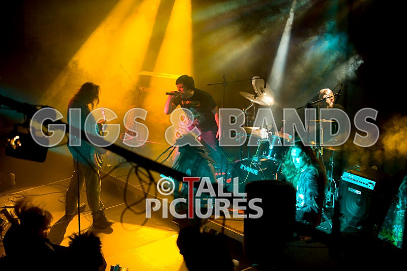 Maiden Guernsey-29 - MAIDEN GUERNSEY at RoA-2