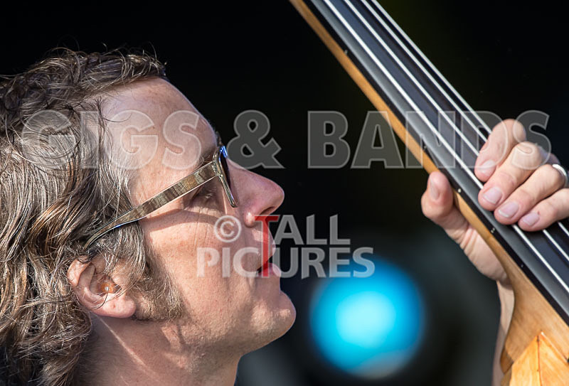 Buffalo Huddleston-425 - BUFFALO HUDDLESTON