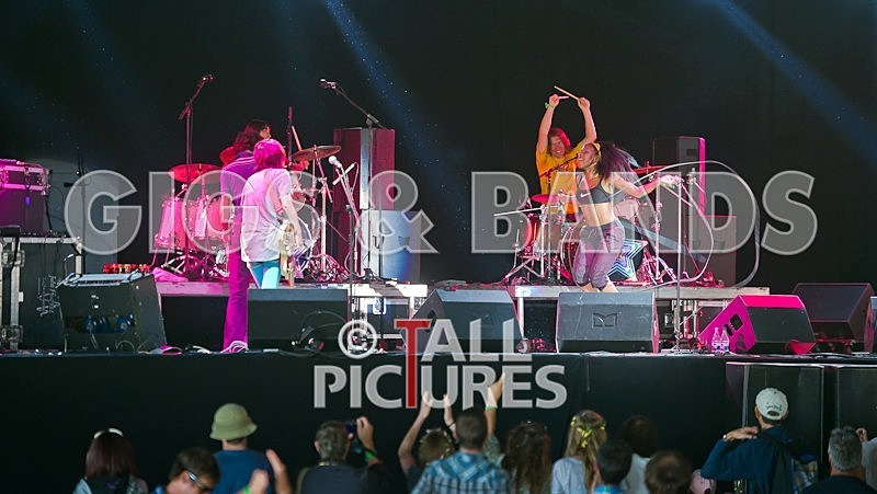 The Go Team-25 - THE GO! TEAM