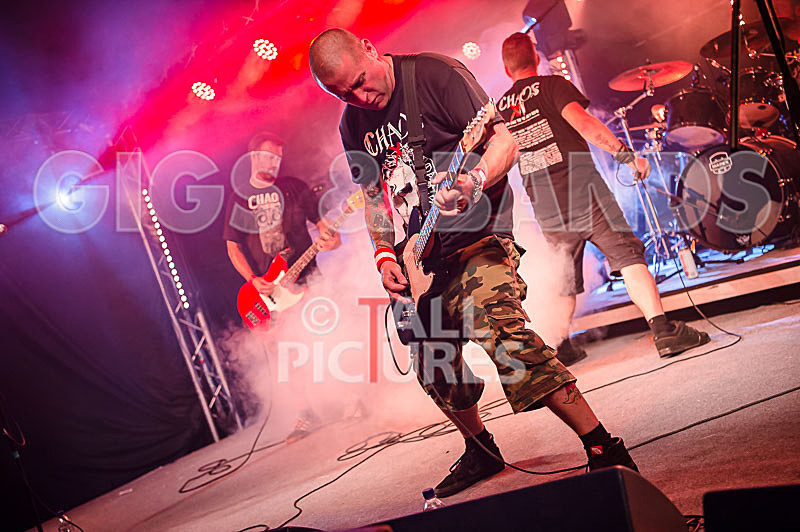 Spunge-159 - [spunge]