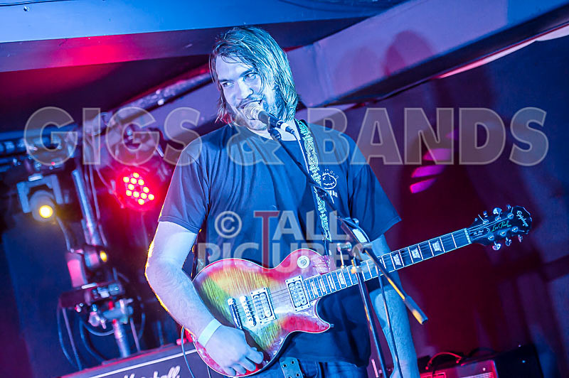 To the Woods-202 - TO THE WOODS