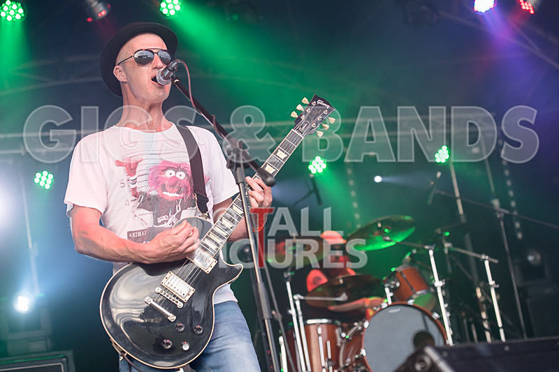 Peppered Ant Legs-244 - PEPPERED ANT LEGS