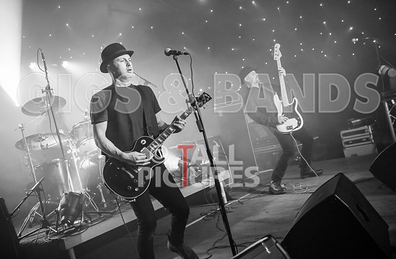 Peppered Ant Legs-201 - PEPPERED ANT LEGS