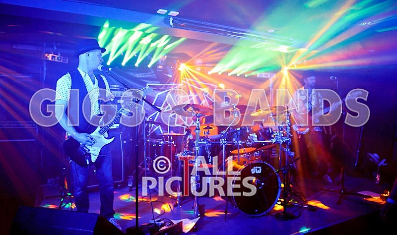 Peppered Ant Legs-115 - PEPPERED ANT LEGS